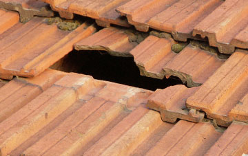roof repair Normans Green, Devon
